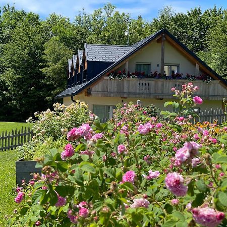 Loft Naturalpina Dolomiti Farm Belluno Exterior photo
